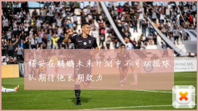 锡安在鹈鹕未来计划中不可动摇球队期待他长期效力